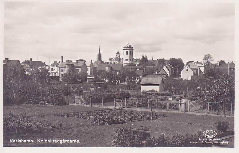 Kolonierna