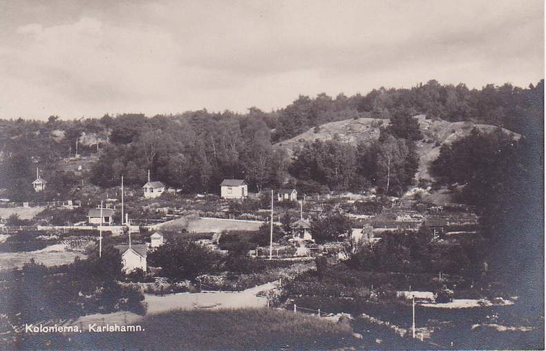 Kolonierna