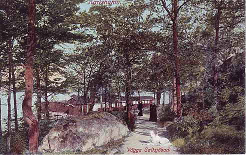 Kring V�gga Saltsj�bad