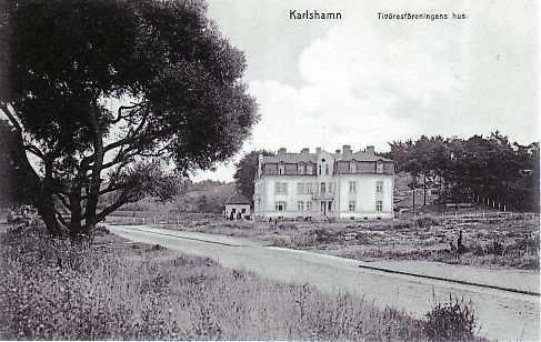 Tioöresföreningen